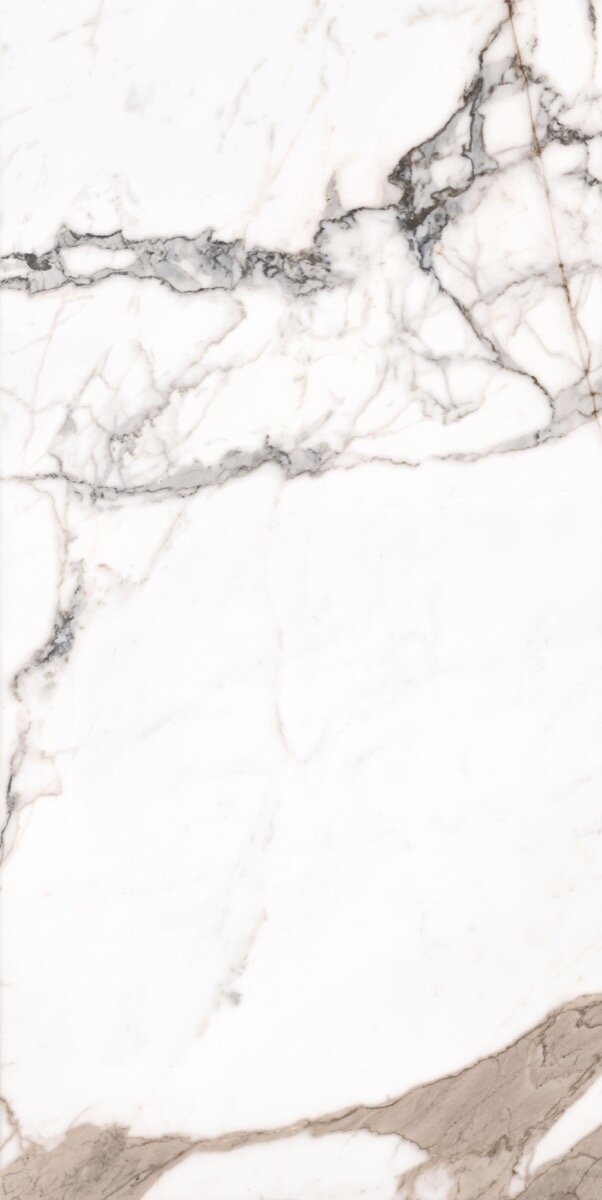 Paonazzo 60x120 cm - Full Lap